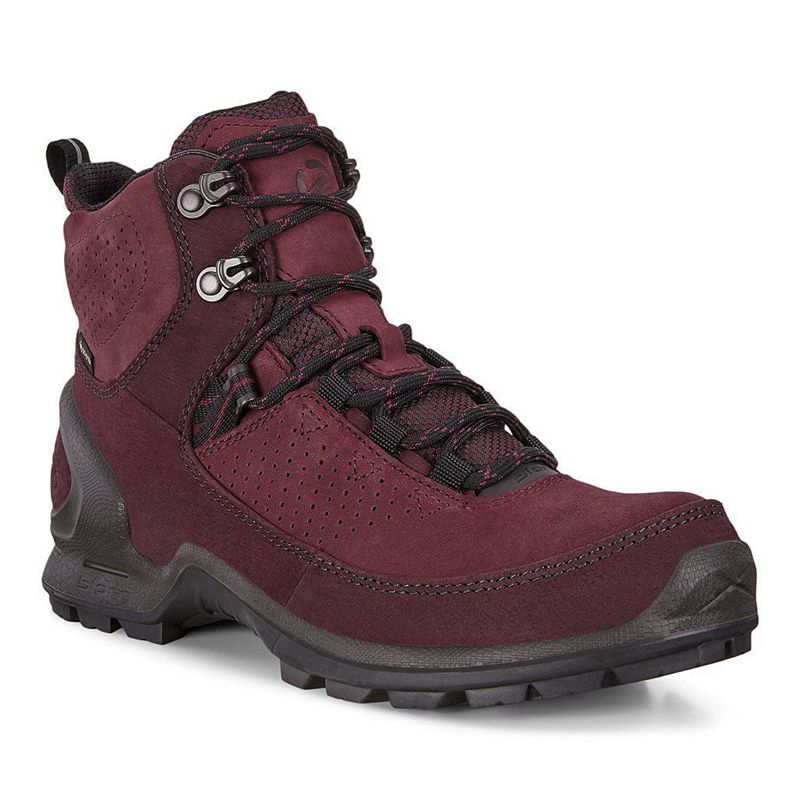 Women Ecco Biom Terrain W - Gore-Tex Purple - India MUQVSF689